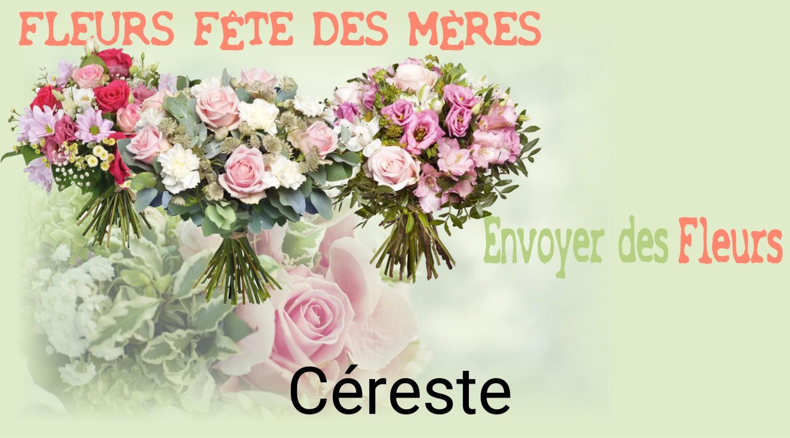 Bouquet de Fête des Mères livré à Céreste